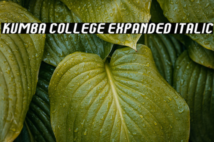 Kumba College Expanded Italic Example 2