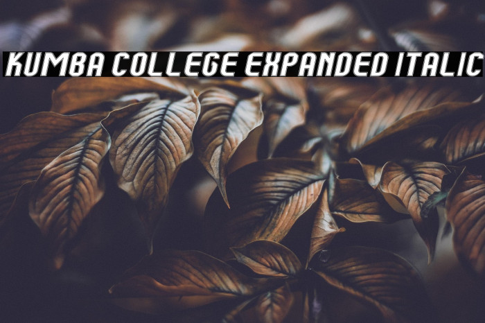 Kumba College Expanded Italic Example 3