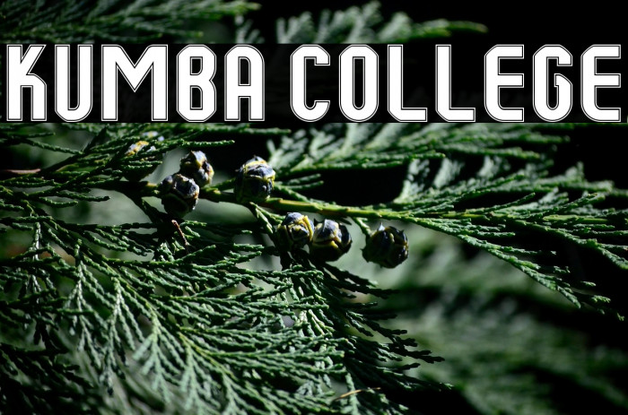 Kumba College Example 3