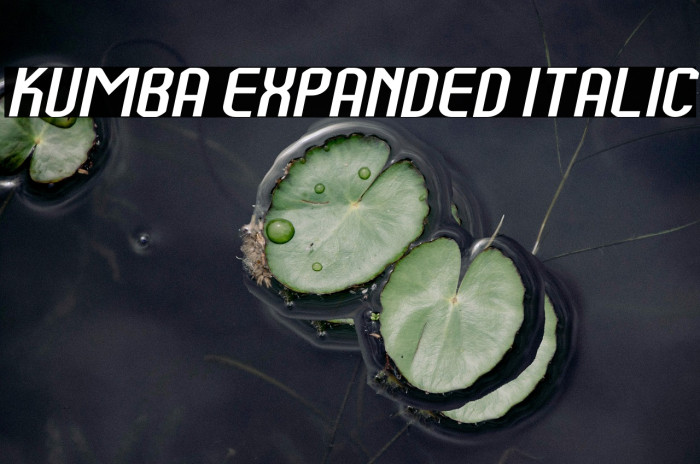 Kumba Expanded Italic Example 1