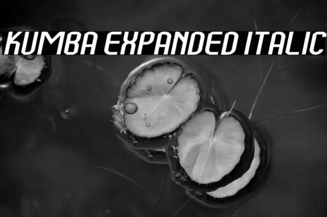 Kumba Expanded Italic Font examples