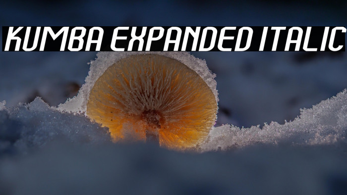 Kumba Expanded Italic Example 2