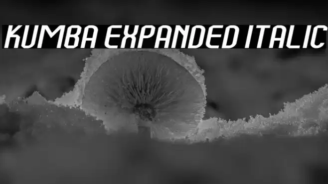 Kumba Expanded Italic Font examples