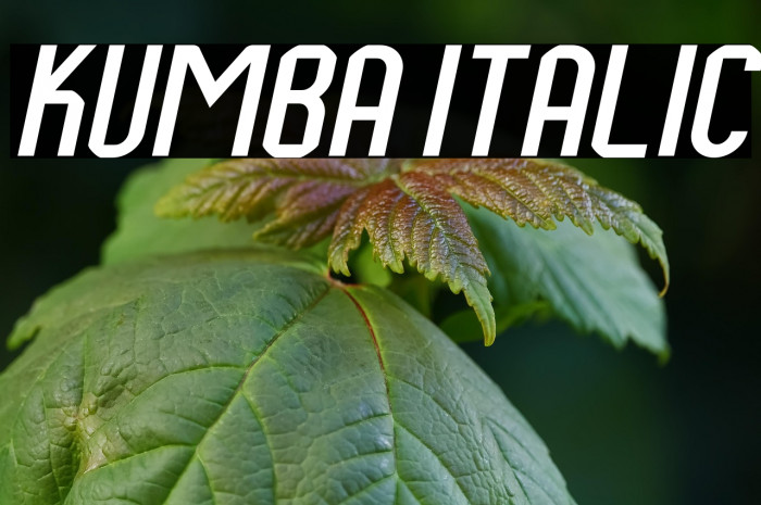 Kumba Italic Example 2