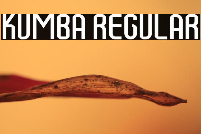 Kumba Regular Example 2
