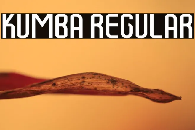 Kumba Regular Example 2