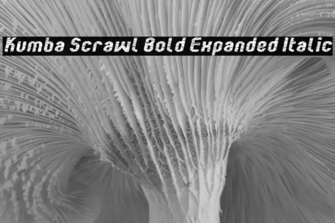 Kumba Scrawl Bold Expanded Italic Font examples