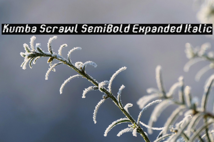 Kumba Scrawl SemiBold Expanded Italic Example 2