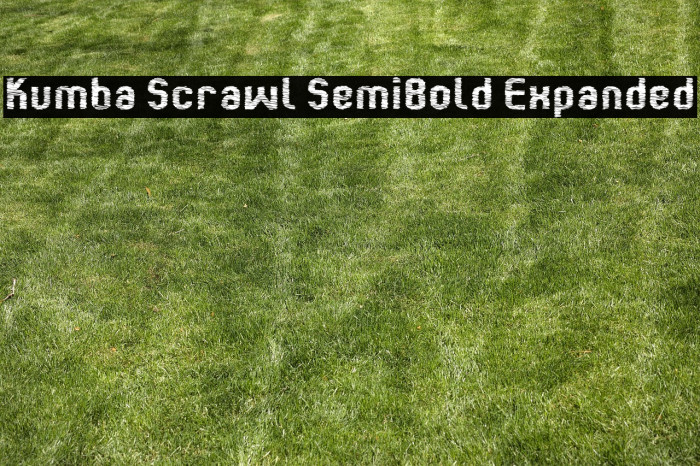 Kumba Scrawl SemiBold Expanded Example 2