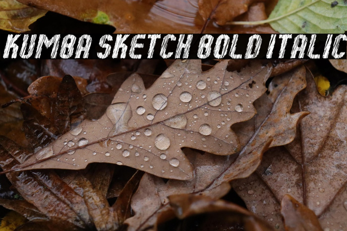 Kumba Sketch Bold Italic Example 1