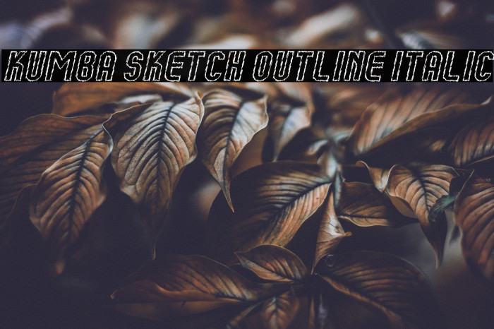 Kumba Sketch Outline Italic Example 2