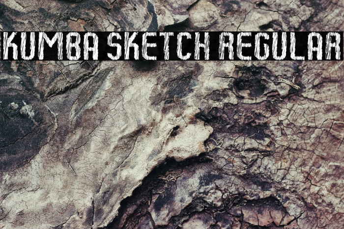 Kumba Sketch Regular Example 2