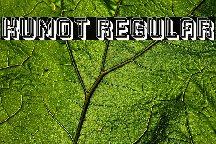 Kumot Regular Example 1