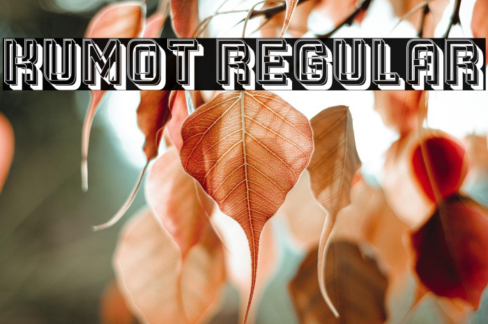 Kumot Regular Example 3