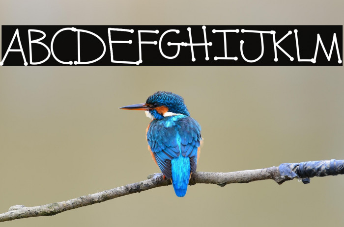 Kunette Kid Dot Example 2