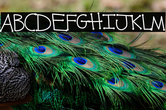 Kunette Kid Dot Example 3