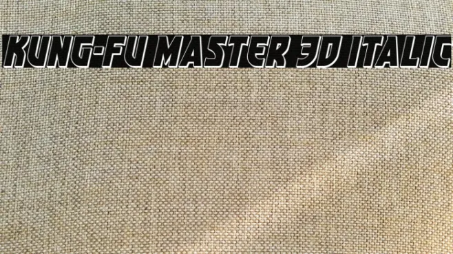 Kung-Fu Master 3D Italic Example 1