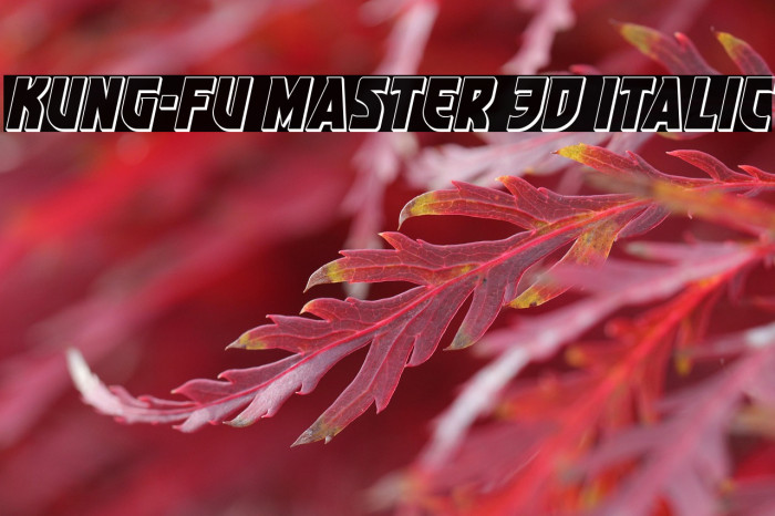 Kung-Fu Master 3D Italic Example 2
