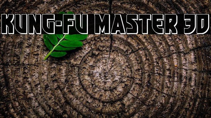 Kung-Fu Master 3D Example 2