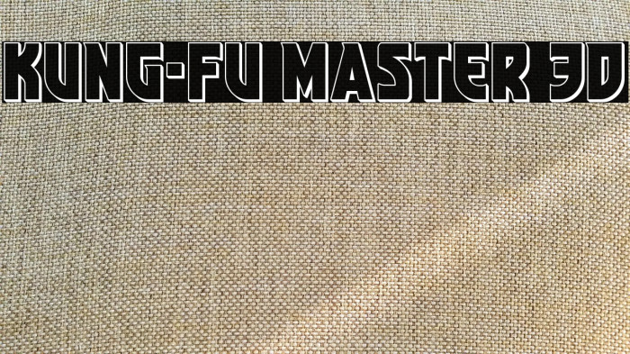 Kung-Fu Master 3D Example 3