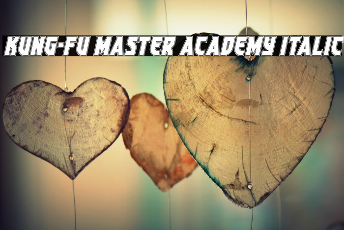Kung-Fu Master Academy Italic Example 2