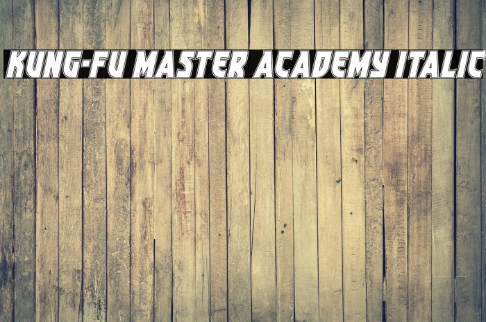 Kung-Fu Master Academy Italic Example 3