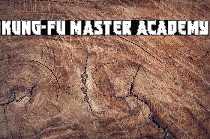 Kung-Fu Master Academy Example 1
