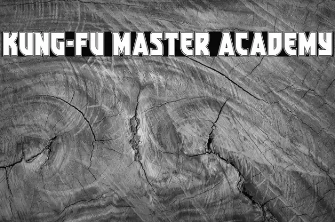 Kung-Fu Master Academy Font examples