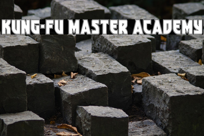 Kung-Fu Master Academy Example 2