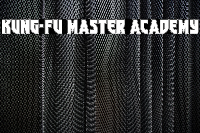 Kung-Fu Master Academy Example 3
