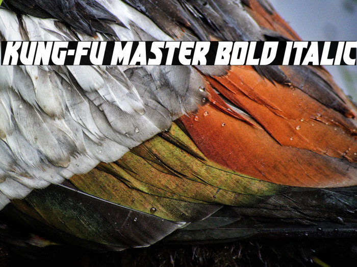 Kung-Fu Master Bold Italic Example 1