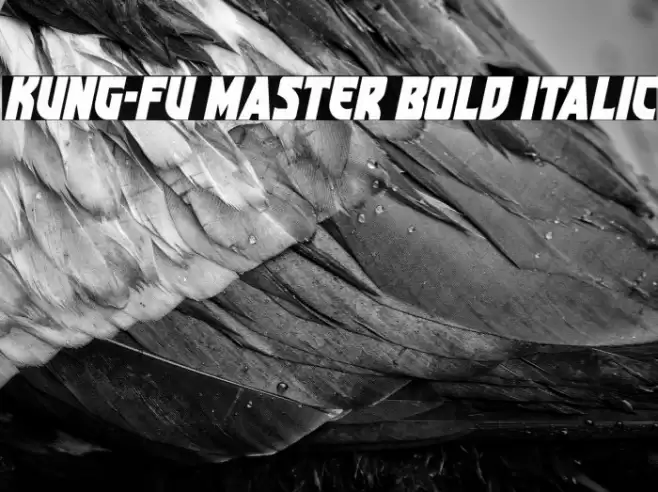 Kung-Fu Master Bold Italic Font examples