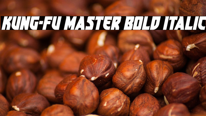 Kung-Fu Master Bold Italic Example 2