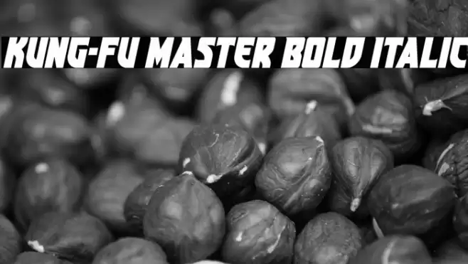 Kung-Fu Master Bold Italic Font examples