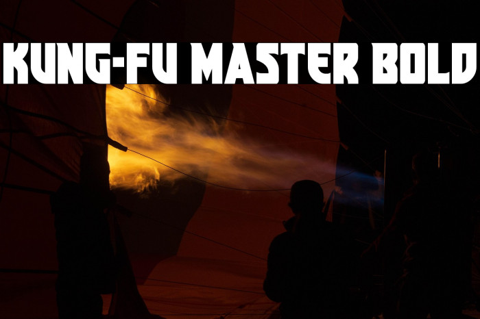 Kung-Fu Master Bold Example 3