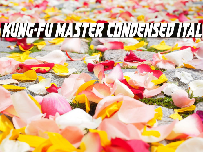 Kung-Fu Master Condensed Ital Example 2