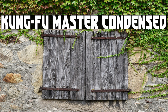 Kung-Fu Master Condensed Example 3