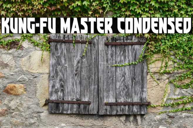 Kung-Fu Master Condensed Example 3