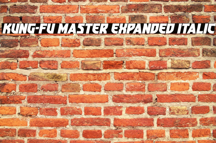 Kung-Fu Master Expanded Italic Example 2