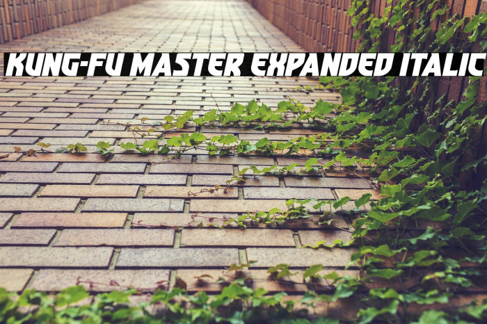 Kung-Fu Master Expanded Italic Example 3