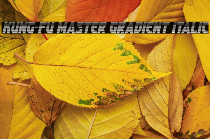 Kung-Fu Master Gradient Italic Example 1