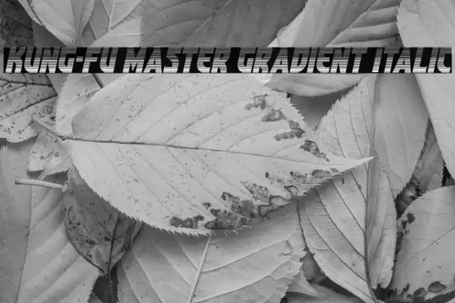 Kung-Fu Master Gradient Italic Font examples