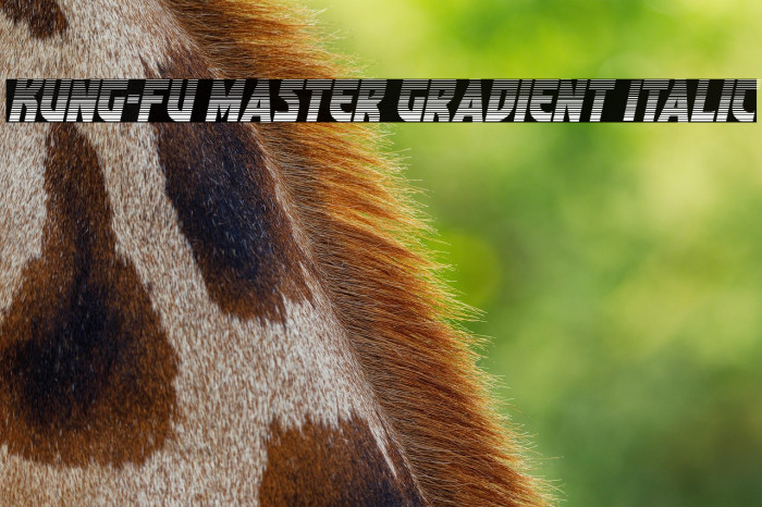 Kung-Fu Master Gradient Italic Example 2