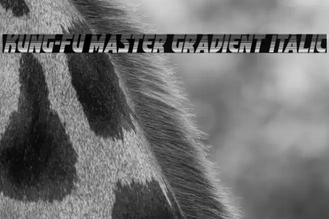 Kung-Fu Master Gradient Italic Font examples