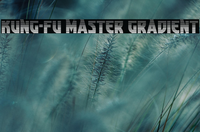 Kung-Fu Master Gradient Example 2