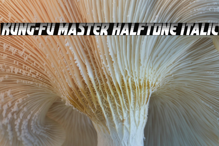Kung-Fu Master Halftone Italic Example 1