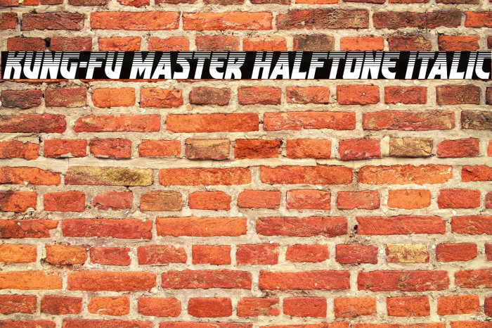 Kung-Fu Master Halftone Italic Example 2