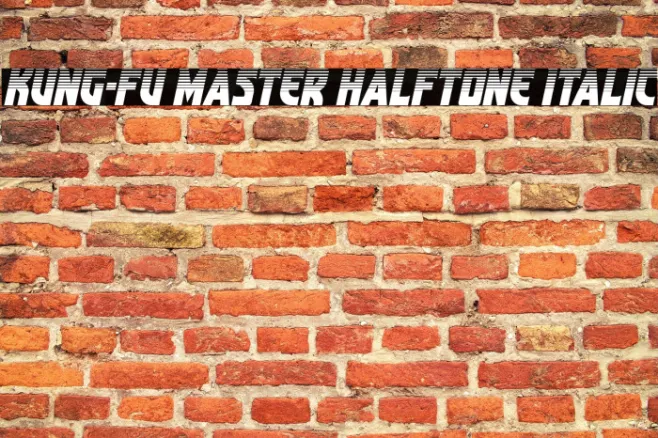 Kung-Fu Master Halftone Italic Example 2