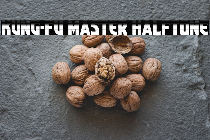 Kung-Fu Master Halftone Example 1