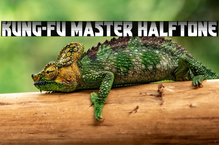 Kung-Fu Master Halftone Example 2